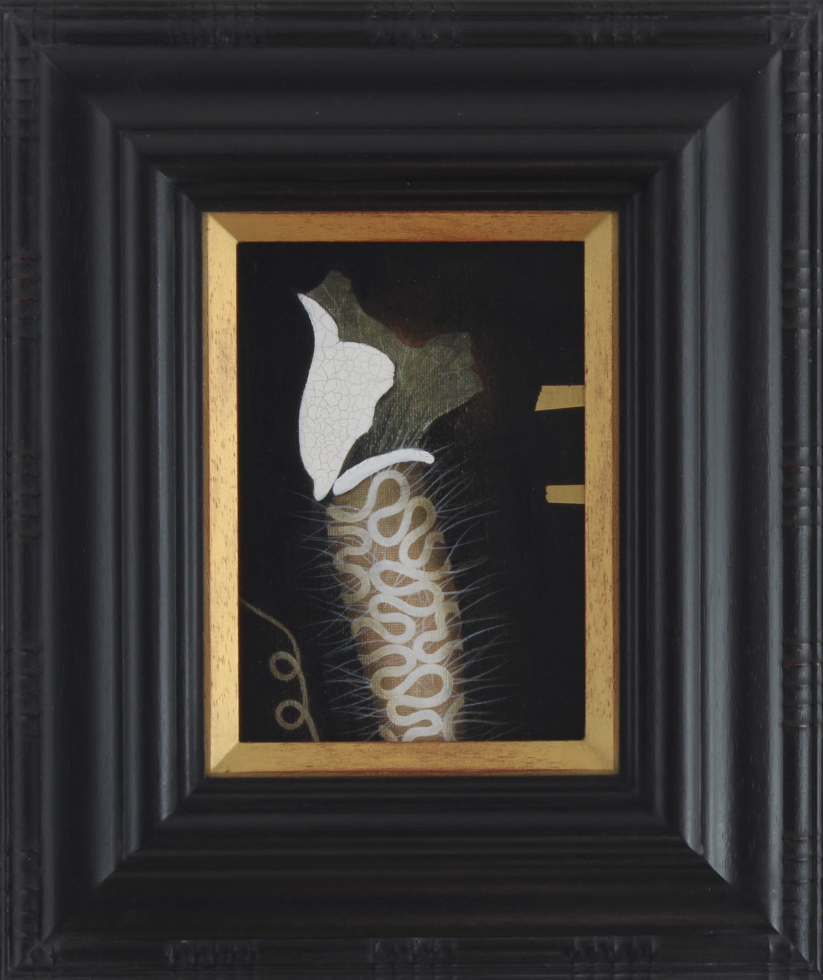 Jane Corbett, Collecting Night Thoughts
