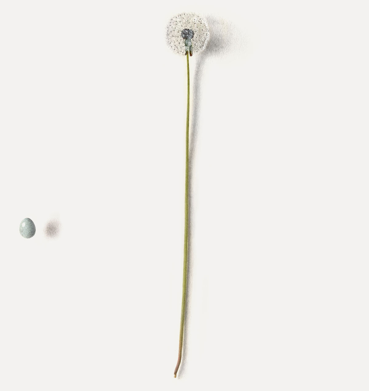 Michael Angove, Memory Room