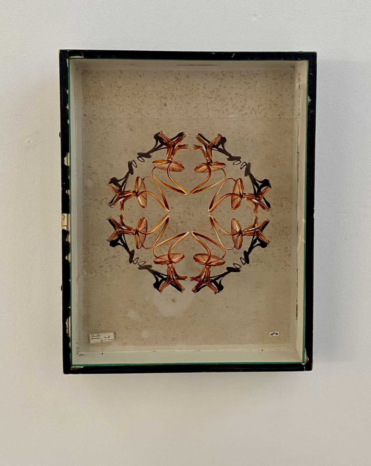 Summer Exhibition, Duplicates