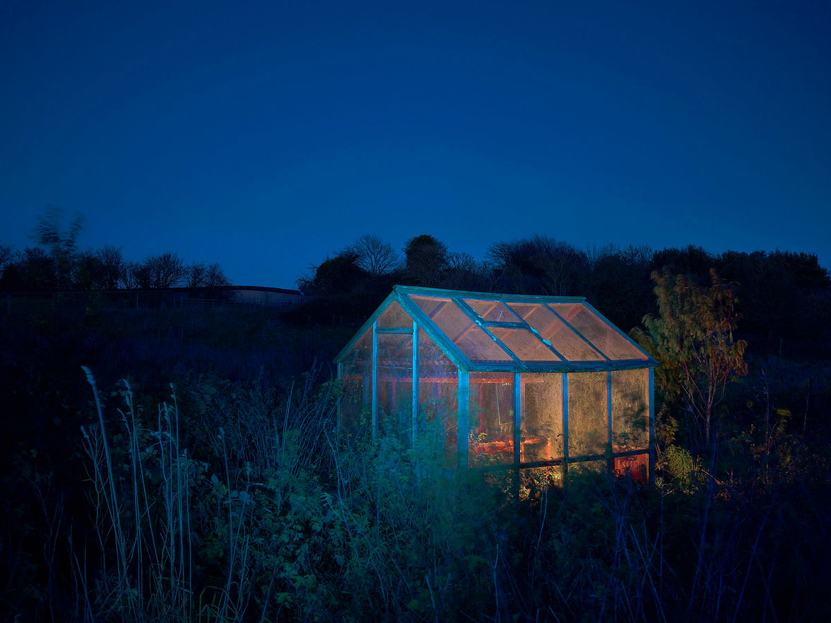Summer Exhibition, In The Night Garden