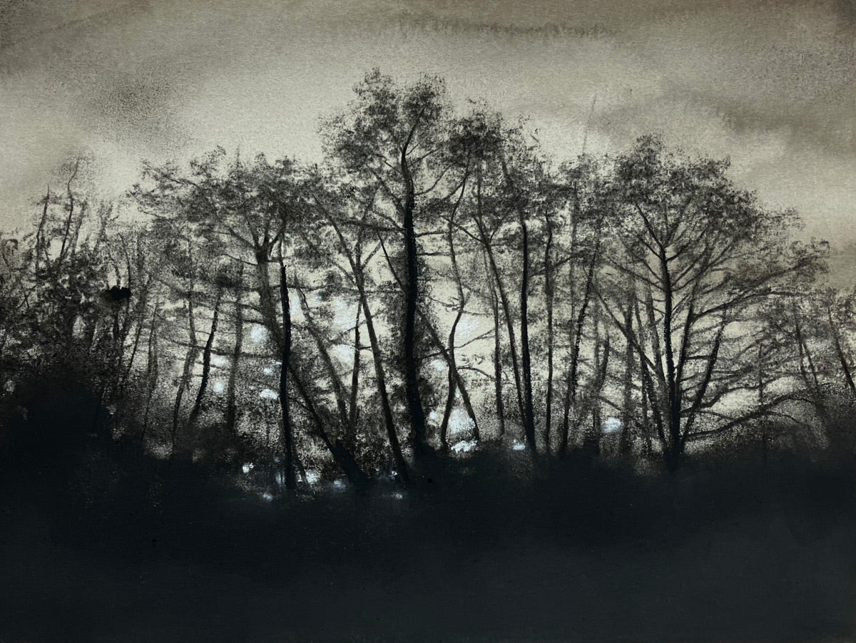 Abigail Reed, Goodbye Winter Light