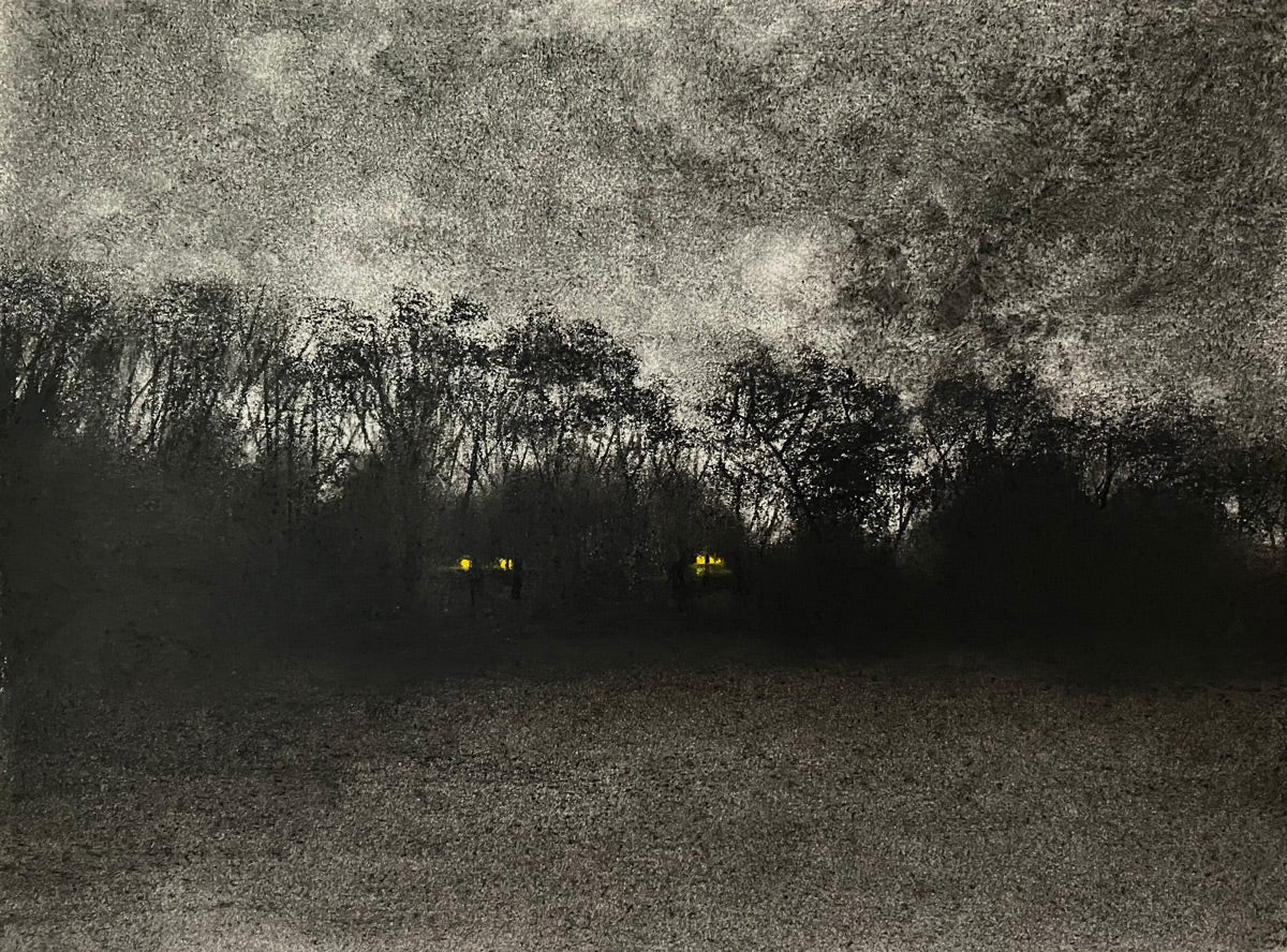 Abigail Reed, Meadow at Night