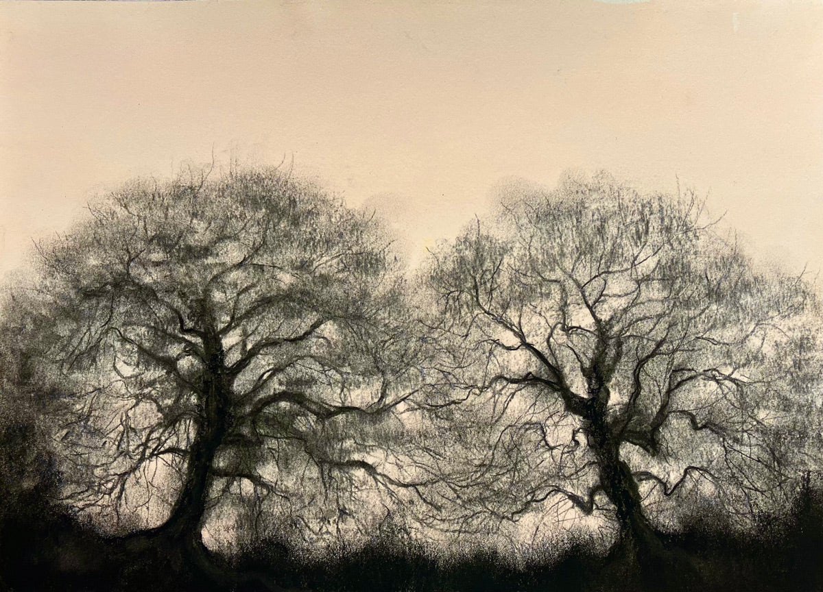 Abigail Reed, What a Tangled Web We Weave