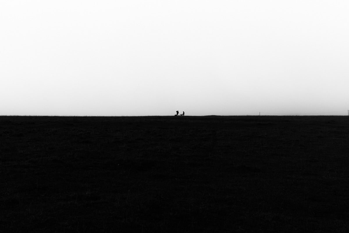 Nik Taylor, Minchinhampton Common-2 - edition 1 of 5